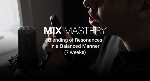 Mix mastery plan cover image